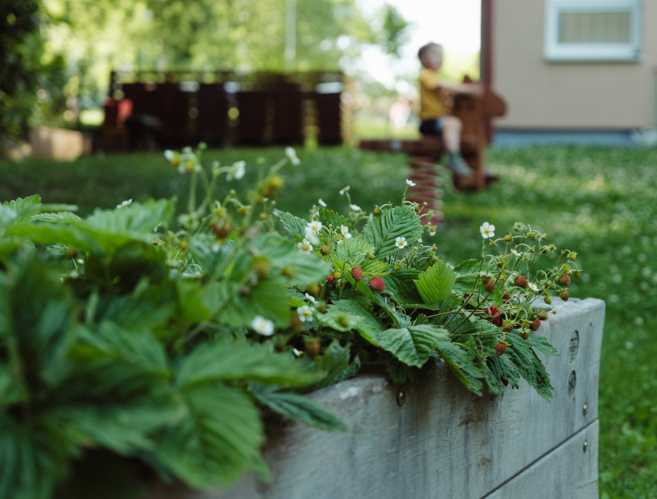 Zdravicko_akce zajicek_2025_Hudacinova_F79