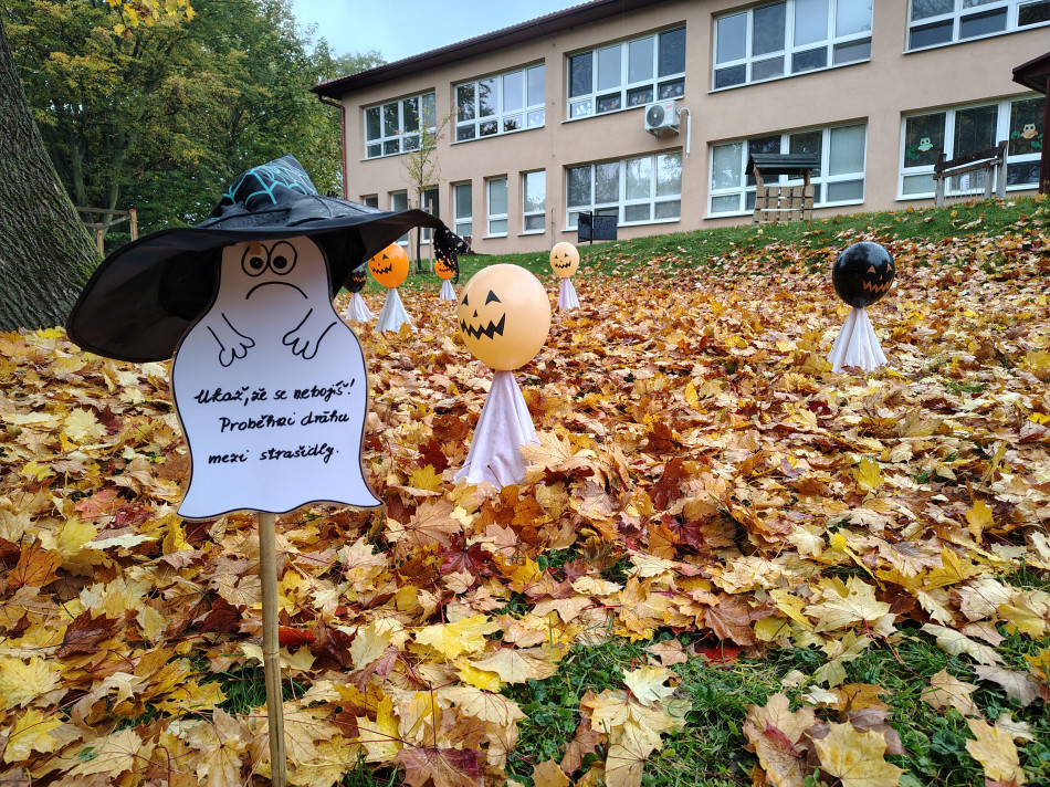 IMG_20251022_104721874_HDR